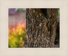 Load image into Gallery viewer, Plate 11 - Gethsemane Impression

