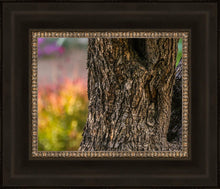 Load image into Gallery viewer, Plate 11 - Gethsemane Impression
