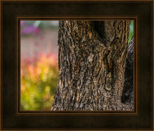 Load image into Gallery viewer, Plate 11 - Gethsemane Impression
