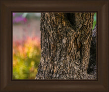 Load image into Gallery viewer, Plate 11 - Gethsemane Impression

