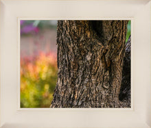 Load image into Gallery viewer, Plate 11 - Gethsemane Impression
