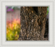 Load image into Gallery viewer, Plate 11 - Gethsemane Impression
