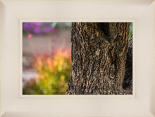 Load image into Gallery viewer, Plate 11 - Gethsemane Impression
