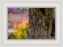 Load image into Gallery viewer, Plate 11 - Gethsemane Impression
