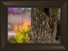Load image into Gallery viewer, Plate 11 - Gethsemane Impression
