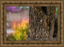 Load image into Gallery viewer, Plate 11 - Gethsemane Impression
