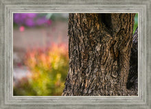 Load image into Gallery viewer, Plate 11 - Gethsemane Impression
