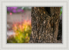 Load image into Gallery viewer, Plate 11 - Gethsemane Impression

