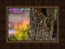 Load image into Gallery viewer, Plate 11 - Gethsemane Impression
