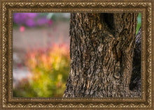 Load image into Gallery viewer, Plate 11 - Gethsemane Impression
