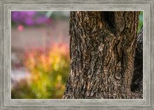 Load image into Gallery viewer, Plate 11 - Gethsemane Impression
