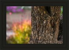 Load image into Gallery viewer, Plate 11 - Gethsemane Impression
