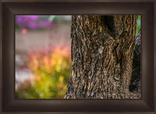Load image into Gallery viewer, Plate 11 - Gethsemane Impression
