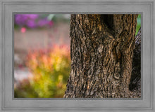 Load image into Gallery viewer, Plate 11 - Gethsemane Impression
