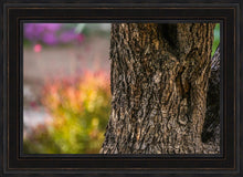 Load image into Gallery viewer, Plate 11 - Gethsemane Impression
