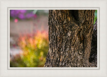 Load image into Gallery viewer, Plate 11 - Gethsemane Impression
