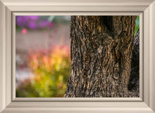 Load image into Gallery viewer, Plate 11 - Gethsemane Impression

