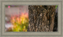 Load image into Gallery viewer, Plate 11 - Gethsemane Impression
