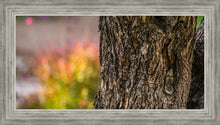Load image into Gallery viewer, Plate 11 - Gethsemane Impression
