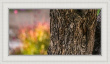 Load image into Gallery viewer, Plate 11 - Gethsemane Impression
