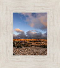 Load image into Gallery viewer, Plate 15 - O Jerusalem Vertical
