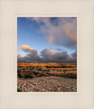 Load image into Gallery viewer, Plate 15 - O Jerusalem Vertical
