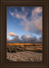 Load image into Gallery viewer, Plate 15 - O Jerusalem Vertical
