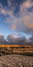 Load image into Gallery viewer, Plate 15 - O Jerusalem Vertical
