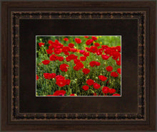 Load image into Gallery viewer, Plate 2 - Poppies in Abundance
