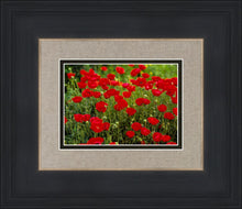 Load image into Gallery viewer, Plate 2 - Poppies in Abundance
