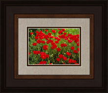 Load image into Gallery viewer, Plate 2 - Poppies in Abundance
