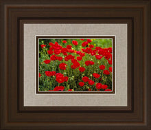 Load image into Gallery viewer, Plate 2 - Poppies in Abundance
