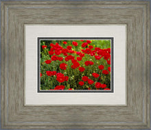 Load image into Gallery viewer, Plate 2 - Poppies in Abundance
