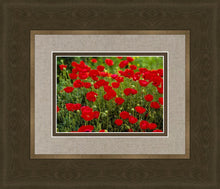 Load image into Gallery viewer, Plate 2 - Poppies in Abundance
