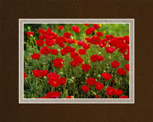 Load image into Gallery viewer, Plate 2 - Poppies in Abundance
