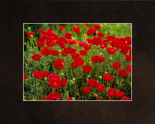 Load image into Gallery viewer, Plate 2 - Poppies in Abundance
