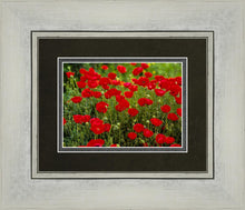 Load image into Gallery viewer, Plate 2 - Poppies in Abundance
