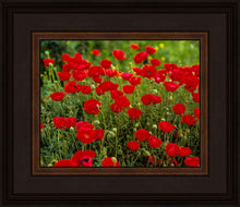 Load image into Gallery viewer, Plate 2 - Poppies in Abundance
