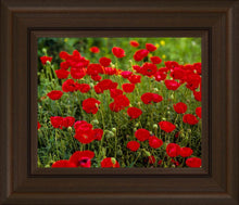 Load image into Gallery viewer, Plate 2 - Poppies in Abundance

