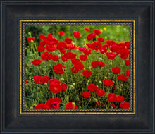 Load image into Gallery viewer, Plate 2 - Poppies in Abundance
