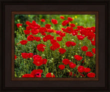 Load image into Gallery viewer, Plate 2 - Poppies in Abundance
