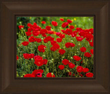 Load image into Gallery viewer, Plate 2 - Poppies in Abundance
