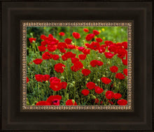 Load image into Gallery viewer, Plate 2 - Poppies in Abundance
