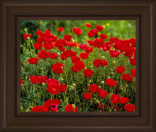 Load image into Gallery viewer, Plate 2 - Poppies in Abundance
