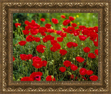 Load image into Gallery viewer, Plate 2 - Poppies in Abundance
