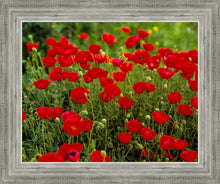 Load image into Gallery viewer, Plate 2 - Poppies in Abundance
