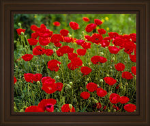 Load image into Gallery viewer, Plate 2 - Poppies in Abundance
