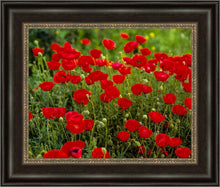 Load image into Gallery viewer, Plate 2 - Poppies in Abundance
