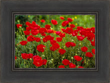 Load image into Gallery viewer, Plate 2 - Poppies in Abundance
