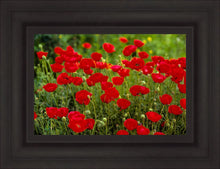 Load image into Gallery viewer, Plate 2 - Poppies in Abundance
